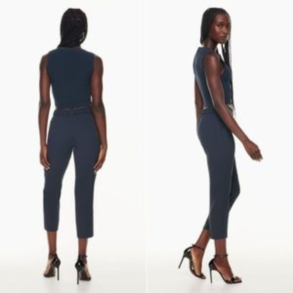 Aritzia Babaton Conan slim cropped pants 2